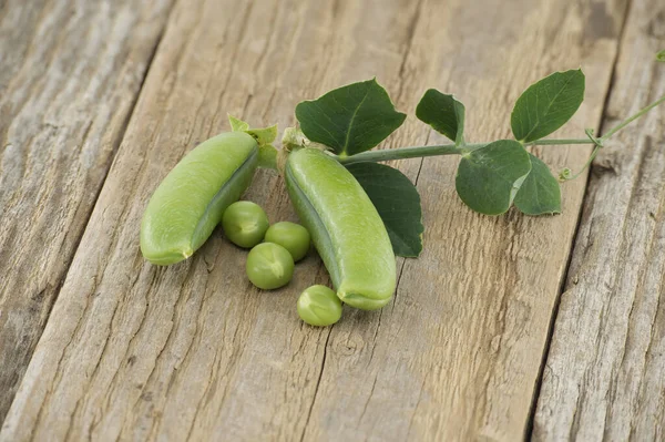 Fresh Green Peas Pea Pods Green Leaves Open Pea Pod — Stock Photo, Image