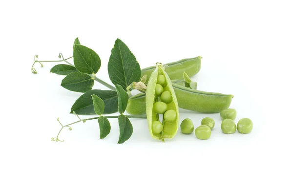 鲜绿色豌豆 绿叶豌豆豆荚和开着的豌豆豆荚 紧密地隔离在白色的背景下 — 图库照片