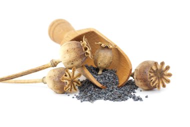 Haşhaş tohumları ve tohumlar ahşap kepçe beyaz arka planda izole edilmiş, tam derinlik