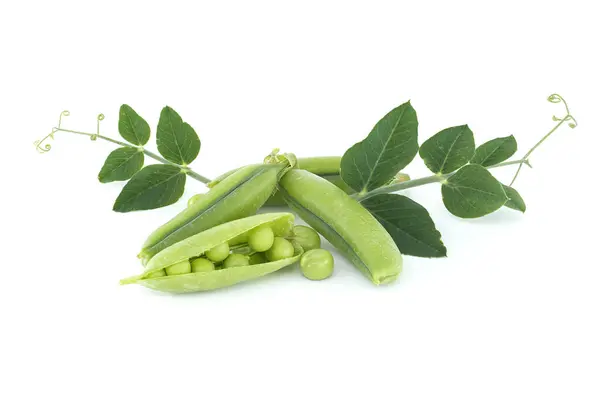 小群新鲜绿豆 绿叶豌豆豆荚和开着的豌豆荚 紧密地隔离在白色的背景下 — 图库照片