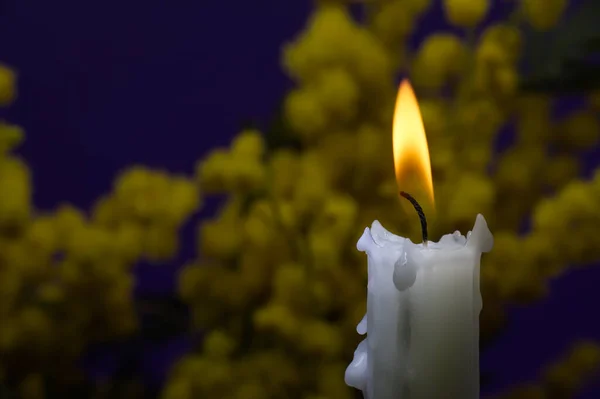 ろうそくの炎と黄色のミモザの花は 無料のコピースペースと濃い青の背景にキャンドルライトで照らされました — ストック写真