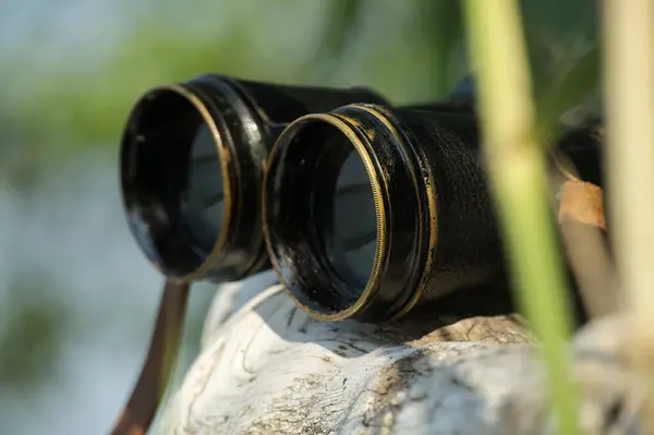 stock image Binoculars resting on a rock the image convey a sense of exploration or observation