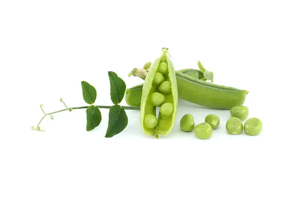 鲜绿色豌豆 绿叶豌豆豆荚和开着的豌豆豆荚 紧密地隔离在白色的背景下 — 图库照片