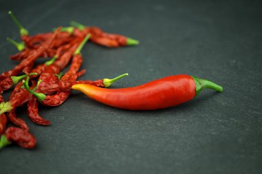 Taze ve kurutulmuş kırmızı kırmızı acı biber. Baharatlı gıda konsepti