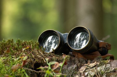 Ağaç kütüğünde dinlenen dürbünler, etraftaki ağaçları yansıtan lensler, orman düzeniyle dolu zemin, keşif ya da gözlem hissi.