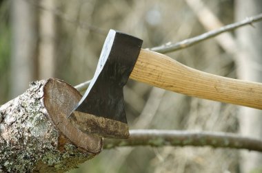 Mavi orman arka planına karşı bir ağaç kütüğüne saplanmış balta ya da balta. Ormanların tahrip edilmesi, orman temizliği veya kış için yakacak odun hazırlığı