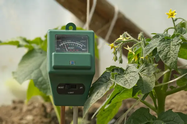 Agricultural meter to measure the soil pH, light and moisture level of the soil in a field with fresh green spring seedlings
