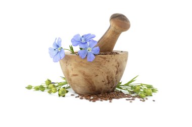 Canlı mavi keten çiçeği, beyaz arka planda izole edilmiş keten rengi meyve kapsüllerinin yanında küçük kahverengi keten tohumlarıyla dolu ahşap bir havan üzerinde oturuyor.