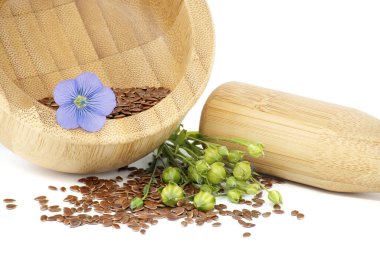 Küçük kahverengi keten tohumlarıyla dolu ahşap havan ve keten tohumu çiçekleri ile beyaz arka planda izole edilmiş keten tohumu yuvarlak meyve kapsülleri.