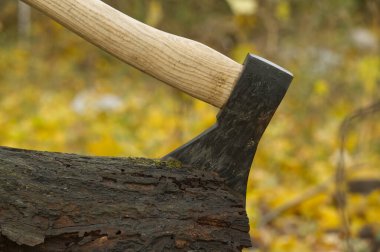 Ağaç kütüğünün ortasına gömülü balta, arka planda sarı bir orman görünüyor, bu da sonbahar mevsiminde açık havanın bulanık olduğunu gösteriyor.