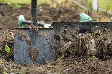 Toprağa yerleştirilmiş kürek ve el ekicili sahne, aktif olarak bahçıvanlıkla meşgul.