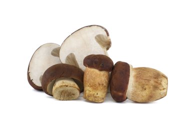 Boletus pinophilus, yaygın olarak çam cıvatası ya da pinewood kralı olarak bilinir. Beyaz arka planda izole edilmiş, geniş bir alan.