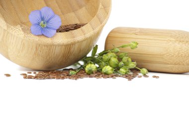 Canlı mavi keten çiçeği, beyaz arka planda izole edilmiş keten rengi meyve kapsüllerinin yanında küçük kahverengi keten tohumlarıyla dolu ahşap bir havan üzerinde oturuyor.