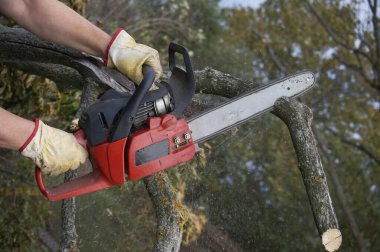Açık havada insan kütükleri kesmek için elektrikli testere kullanır.