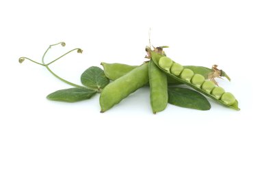 Bezelye kabuğunu aç ve içinde yeşil bezelye var. Sivri uçlu yeşil yaprak ve beyaz arka planda izole edilmiş bezelye kabukları.