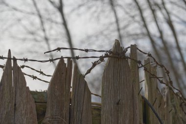 Açık havada bulunan dikenli tellerin çarpıcı yakın plan görüntüsü, kırsal kesimde ve bazı banliyö bölgelerinde yaygın bir manzara