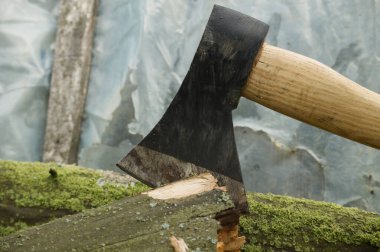 Kahverengi ahşap saplı bir balta ve bir ağaç parçasına saplanmış siyah bir kafa veya ormanda bir ağaç kütüğü ya da doğal bir açık hava ortamı.