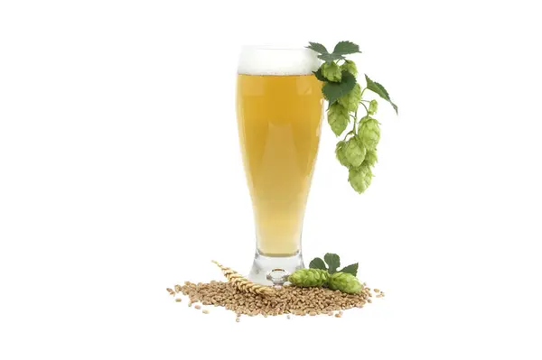 Glass of beer with branch hops cones and wheat seeds in close up isolated on white background, beer brewing ingredients