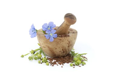 Küçük kahverengi keten tohumlarıyla dolu ahşap havan ve keten tohumu çiçekleri ile beyaz arka planda izole edilmiş keten tohumu yuvarlak meyve kapsülleri.