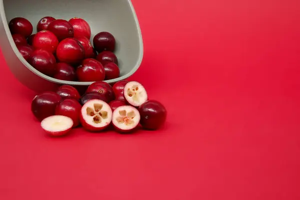 Grijze Kom Gevuld Met Verse Cranberry Tegen Een Levendige Rode Stockfoto