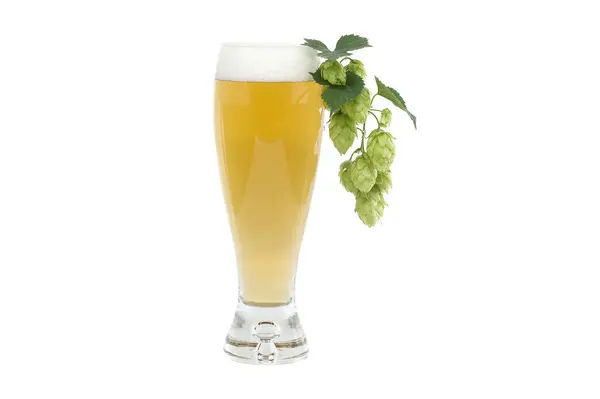 Glass of beer with branch hops cones isolated on white background, beer brewing ingredients