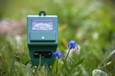 Yeşil elektronik toprak nem ölçer çimlerin üzerinde doğal çevreye yerleştirilmiş küçük mavi çiçeklerle birlikte.