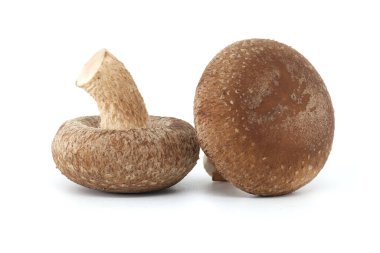 Fresh shiitake mushrooms, known for their health benefits and pharmacological properties, are isolated on a white background clipart