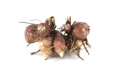 Beyaz arka planda izole edilmiş kökleri olan Kudüs enginarları. Güneş tutulması, yabani ayçiçeği ya da topinambur