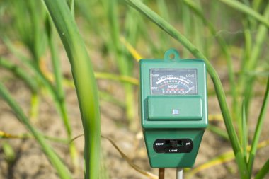 Toprak testi - ışığı, pH 'ı ve nem miktarını ölçmek. Sera etkisi ve küresel ısınma kavramı