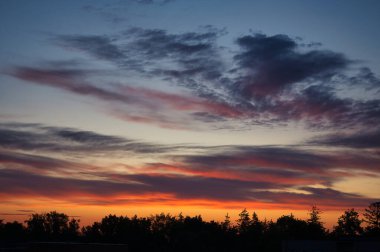 Güneş gökyüzünde batıyor, bulutların üzerinde altın turuncu ve pembe bir renk bırakıyor, ağaçların siluetleri ışığa karşı duruyor.
