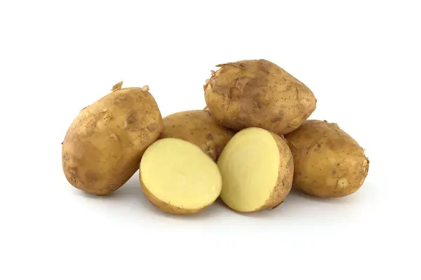 stock image Pile of recent harvest early season potatoes isolated on a white background, one potato bisected displaying its yellow interior