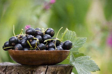 Ağaç kütüğünde taze kuşüzümü dolu ahşap bir kase. Yeşil doğal bir arka planı var. Doğanın hasadının cömertliğini gösteriyor..