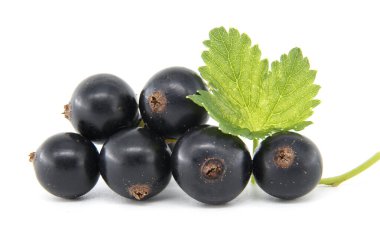 Beyaz arka planda izole edilmiş yeşil yapraklı taze siyah kuş üzümleri, doğal ve sağlıklı meyveler sunar.
