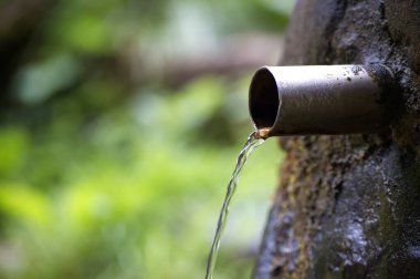 Yeşil, doğal bir çevreyle çevrili, doğanın saflığı ve basitliğine odaklanmış bir borudan akan suyun yakın çekimi..