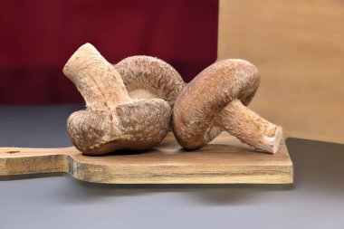 Çiğ shiitake mantarları, besleyici ve tıbbi özellikleriyle tanınırlar, kesme tahtasının üzerinde dinlenirler, besleyici ve tıbbi, Lentinula edodes