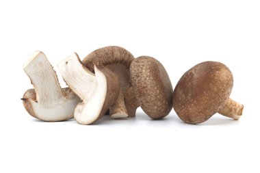 Taze shiitake mantarları bilimsel olarak Lentinula edodes olarak adlandırılır, bu mantarlar hem aşçılık hem de tıbbi kullanım için popüler bir seçimdir.