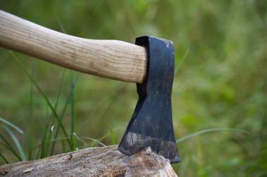 Ağaç saplı bir baltanın ayrıntılı yakın plan görüntüsü bir kütüğe saplanmış, açık havada yemyeşil çimlerle çevrili..