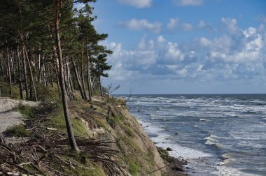 Yoğun orman ve dalgalı dalgalarla dolu engebeli bir kıyı şeridinin nefes kesen manzarası kabarık bulutlarla dolu canlı mavi bir gökyüzüne karşı kurulmuş..