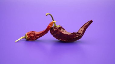 Yeşil saplı iki kurutulmuş kırmızı biber canlı morötesi mor arka planda sunuluyor.