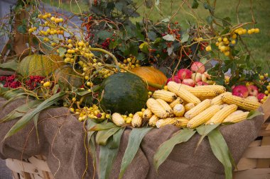 Yeşillik ve böğürtlenlerle çevrili kabak, elma ve mısır başakları da dahil olmak üzere sonbahar hasat eşyalarıyla dolu bir köy sepeti. Sahne, sonbaharın özünü sıcak renkler ve doğal dokularla yakalıyor..
