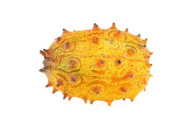 Canlı bir kiwano kavunu, aynı zamanda boynuzlu karpuz olarak da bilinir, beyaz bir fonda sergilenir. Bu egzotik meyve, tropikal tazeliği sembolize eden eşsiz dokuları ve desenleriyle dikenli turuncu bir dış görünüme sahiptir.
