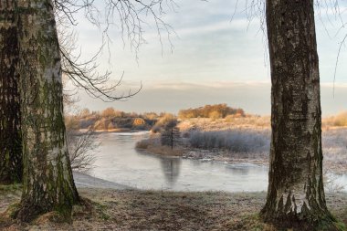 Ön planda iki büyük ağaç tarafından çerçevelenmiş sakin bir nehir manzarası, soğuk bitki örtüsü ve olay yerinden akan sakin bir nehir..