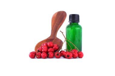 Hawthorn berries and essential oil bottle with wooden spoon on white background for natural health remedies and herbal supplements clipart