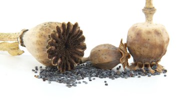 Temiz beyaz arka planda kurutulmuş haşhaş kabukları ve dağınık tohumların detaylı görüntüsü. Doğal dokuyu ve karmaşık tasarımı vurgulayarak, tarım, botanik ve aşçılık kavramları için ideal.