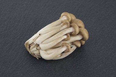 Shimeji mantarlarından oluşan bir grup, siyah taş tabakta dizilmiş, Shimeji (Hypsizygus tessellatus) mantarları.