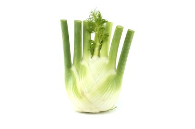 A fresh fennel bulb with lush green stalks displayed against a white background. Perfect for culinary uses, showcasing its crisp texture and aromatic qualities. clipart