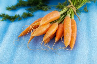 Canlı bir demet taze organik yetiştirilmiş havuç mavi desenli bir yüzeye karşı sergileniyor.