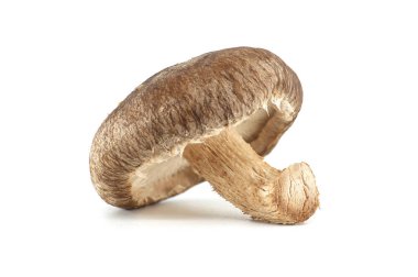 Beyaz arka plana yerleştirilmiş taze bir shiitake mantarının detaylı görüntüsü, dokusunu ve doğal görünümünü gözler önüne seriyor..