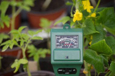 Bahçe ortamında yeşil bir toprak ölçer, gelişen bitkiler ve canlı sarı çiçeklerle çevrili nem seviyelerini gösterir..