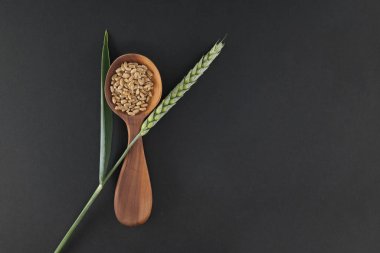 Tahta kaşık içinde buğday taneleri, taze buğday sapı ve doğal tarımı ve sağlıklı beslenmeyi temsil eden tek bir yeşil yaprak vardır..